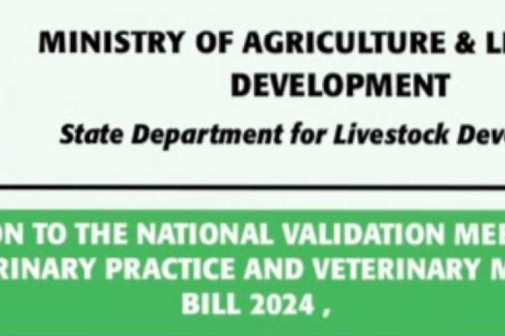 Invitation to the National Validation Meeting for the Veterinary Practice and Veterinary Medicine Bill 2024