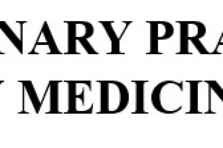 THE VETERINARY PRACTICE BILL, 2024 FOR VALIDATION